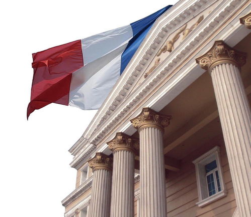 鈴鹿復合建材在上海 創新與品質驅動裝飾材料行業發展